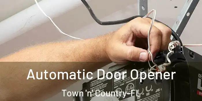 Automatic Door Opener Town 'n' Country-FL