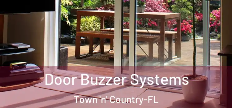 Door Buzzer Systems Town 'n' Country-FL