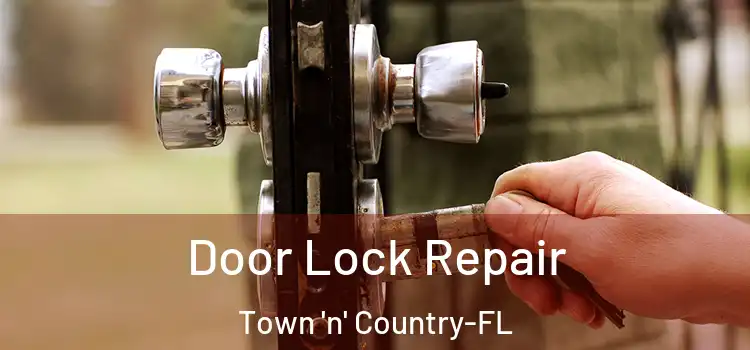 Door Lock Repair Town 'n' Country-FL