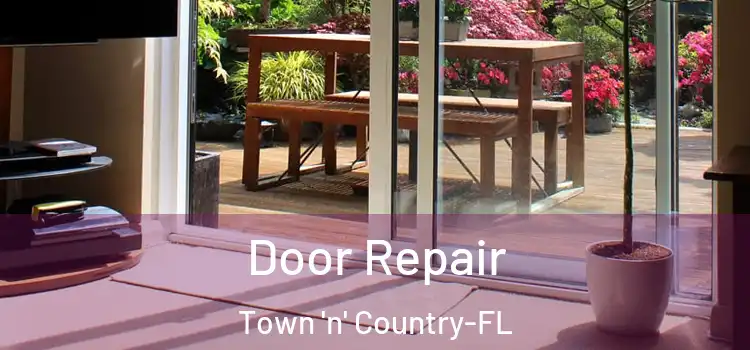 Door Repair Town 'n' Country-FL