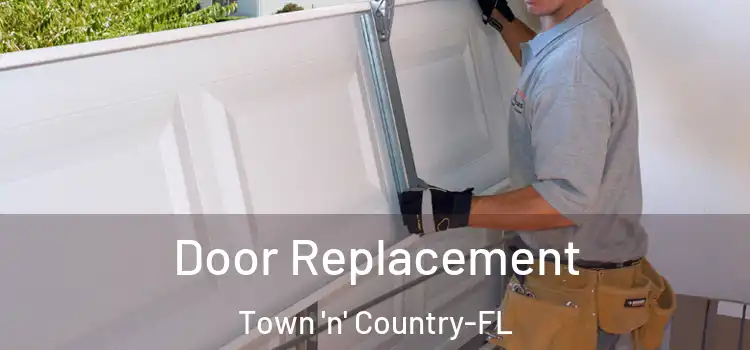 Door Replacement Town 'n' Country-FL