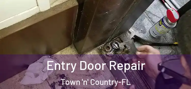 Entry Door Repair Town 'n' Country-FL