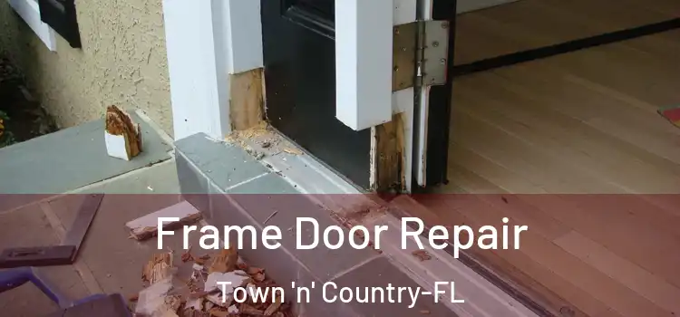 Frame Door Repair Town 'n' Country-FL