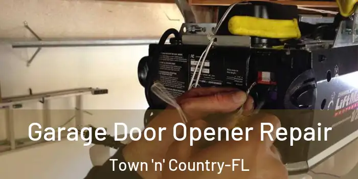 Garage Door Opener Repair Town 'n' Country-FL