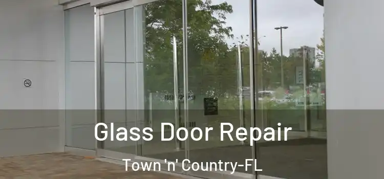 Glass Door Repair Town 'n' Country-FL