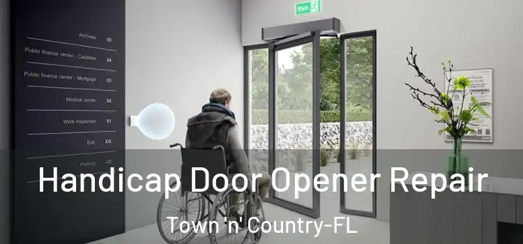 Handicap Door Opener Repair Town 'n' Country-FL