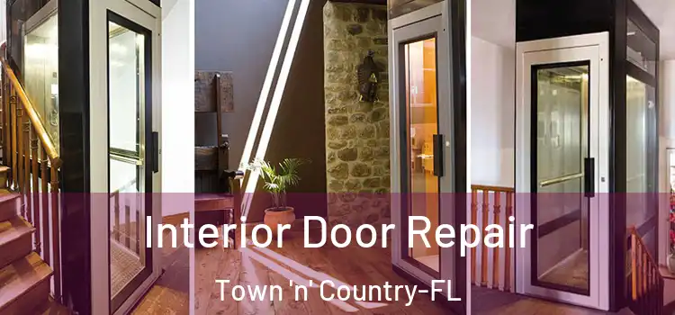 Interior Door Repair Town 'n' Country-FL