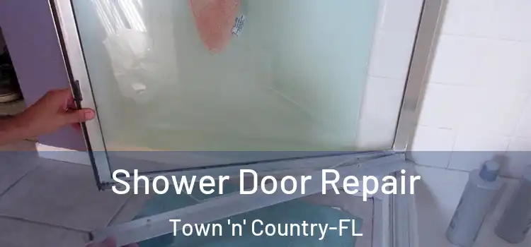 Shower Door Repair Town 'n' Country-FL