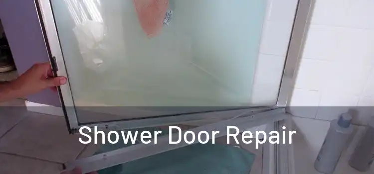 Shower Door Repair