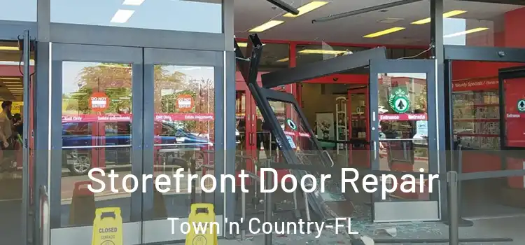 Storefront Door Repair Town 'n' Country-FL